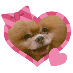 NUIINUII_20260325105747