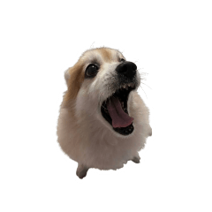 KAITOM_20260325105252