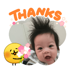 Pummy_20260325110803