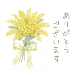 Gently Express with Mimosa Flowers