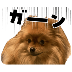 sarry_20260325141955