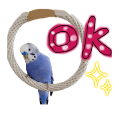 yu-mi_20260325142924