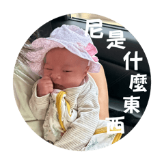 登登登登登登登登登登