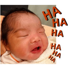 于家小喬喬安安