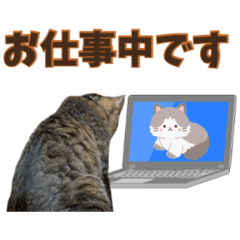 KATOSHIN_20260322184442