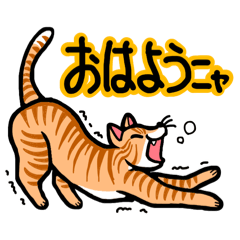 yellowtank_20260324193852