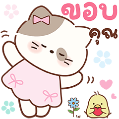 แคทเปอร์ สุดคิ้วท์ : วันๆ ทำอะไรนะ