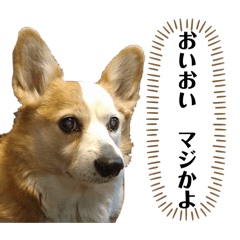 erijirou_20260325151056