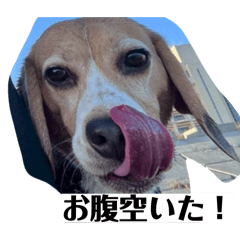 Arthur_20260325154138