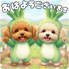 野菜化したトイプー