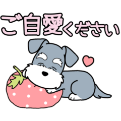 Dog sticker.#18 Schnauzer 2