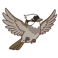 白頭翁之我家有隻小阿飛-小阿飛陪你聊聊天