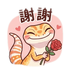 豹紋守宮 日常生活