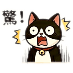 貓界二哈～黑皮