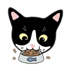 賓士貓 小噗噗的日常生活