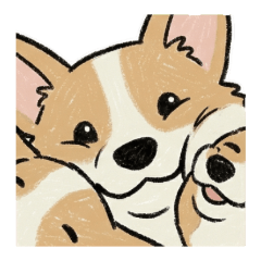 狗勾圖鑑：柯基