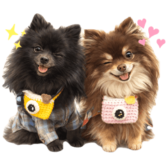 SEA_HouseL_20260325154824