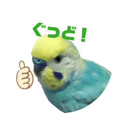 manzou_20260325155302