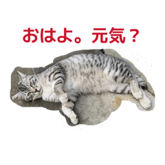 rouge_20260325155138