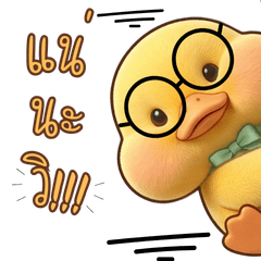 The cute, chubby yellow duckling