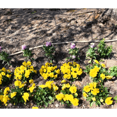 Moritahirofumi_20260322194037