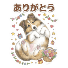 Soft & Fluffy Sheltie Puppy Stickers