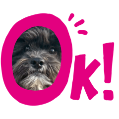 ponpon_20260325162000