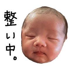 wakana_20260325162030