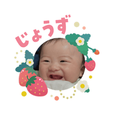 NISSY_20260325164654