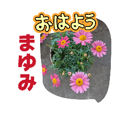 MayumiOka_20260325164217