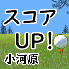 Ogawara'having fun golfing