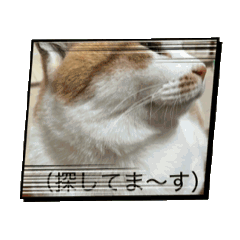 Solitary_20260325200801