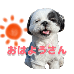 Osechi_20260325164618