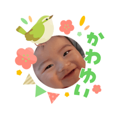 NISSY_20260325165323