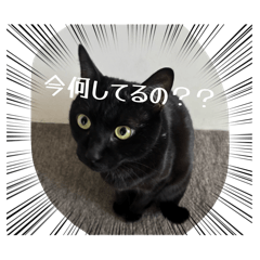 rechan_20260325165336