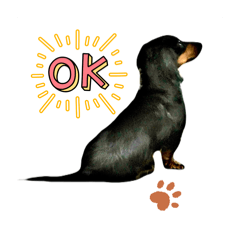 ROPE HOUSE_20260325165621