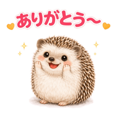 mimio_20260325165730