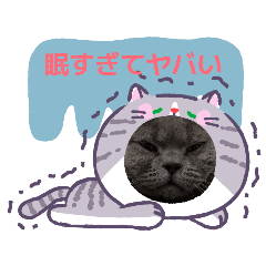 ponta_20260325170242