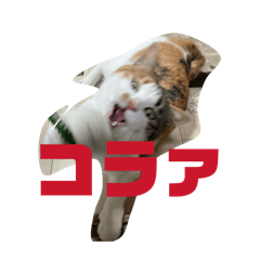 Solitary_20260325184213