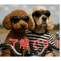 komkoha_20260325172814