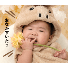 nekoneko_20260325173841