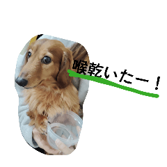 YukiNa_20260325174029