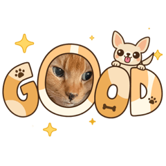 nameko_20260325192601