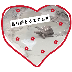 natsuki611_20260325180835