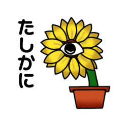 Poxohe27_20260325165638