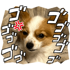 NANA_202603251811375