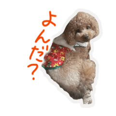 Tamako_20260325181906