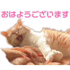 Kotarou_20260325181214