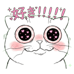 WAEWAE213_20260325181356