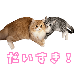 mugishirasu_20260325180917